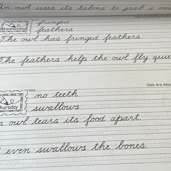 Daily Handwriting Practice Traditional Cursive - Picture 4 of 6